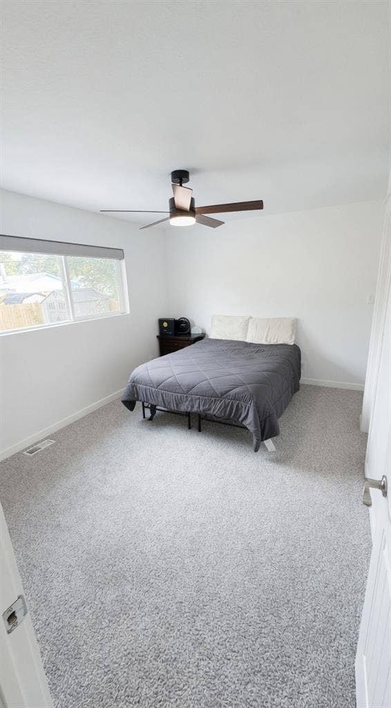 Master Bedroom Available near UCCS