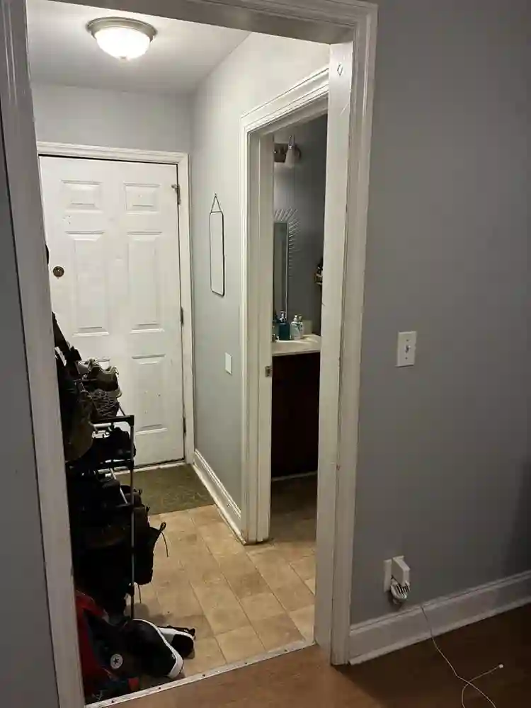 Looking for a roommate