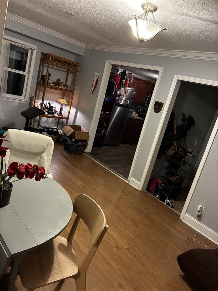 Looking for a roommate