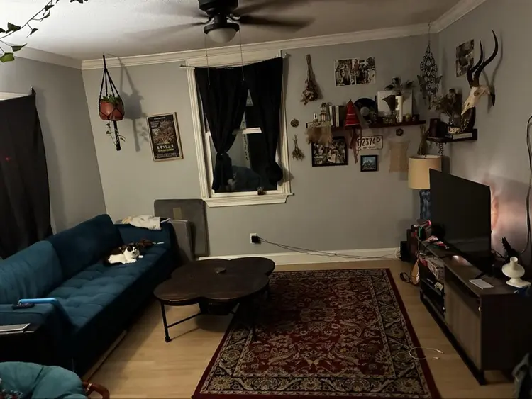 Looking for a roommate