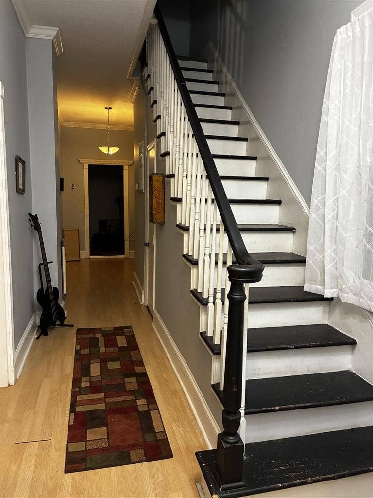 Looking for a roommate