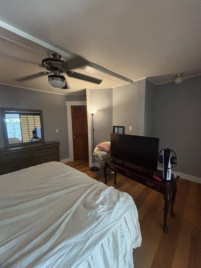 New Listing