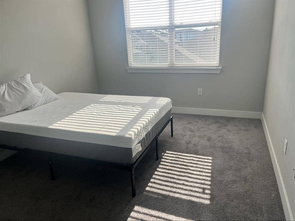 Roomate needed