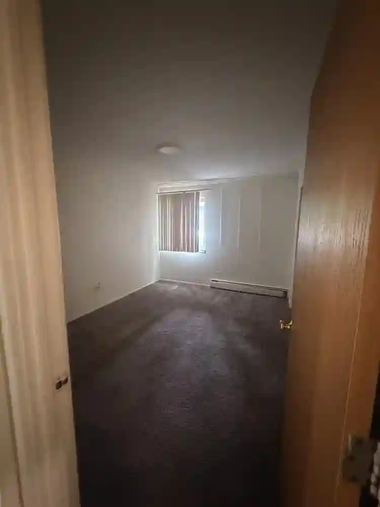 Roommate wanted