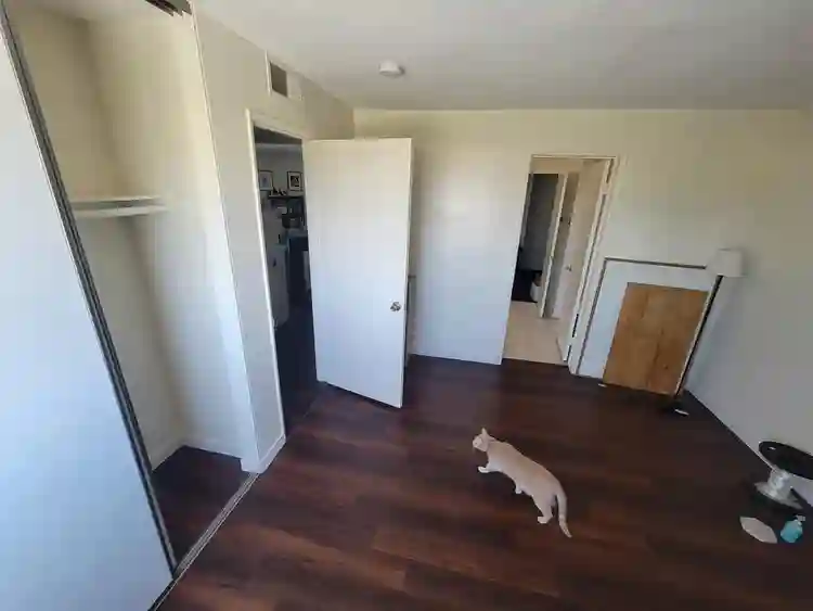 Room w/ private bath + parking spot