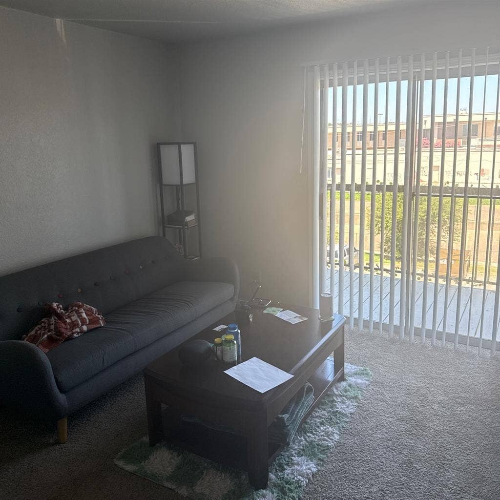 Roomate badly needed