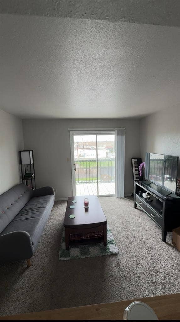 Roomate badly needed