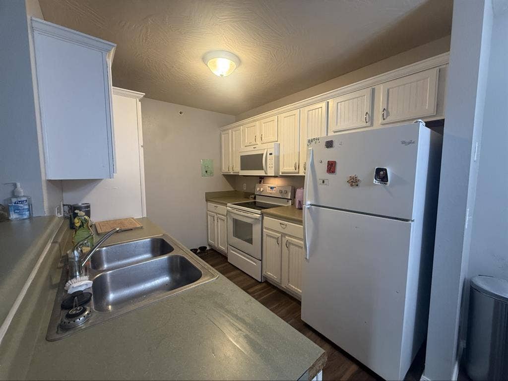 Looking for a roommate