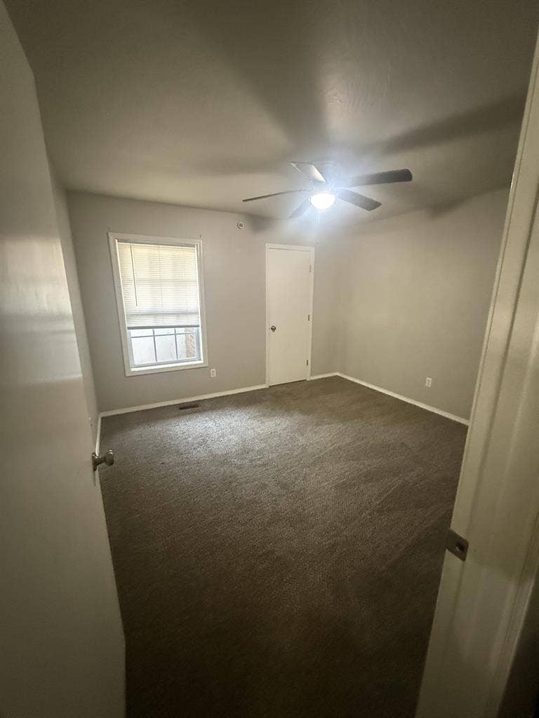 Looking for a roommate