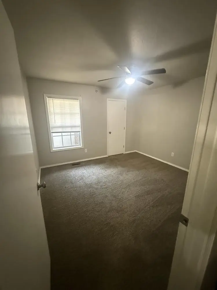 Looking for a roommate