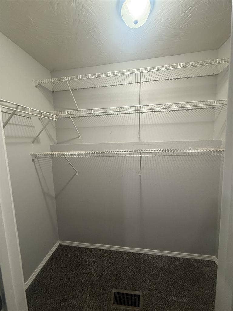 Looking for a roommate