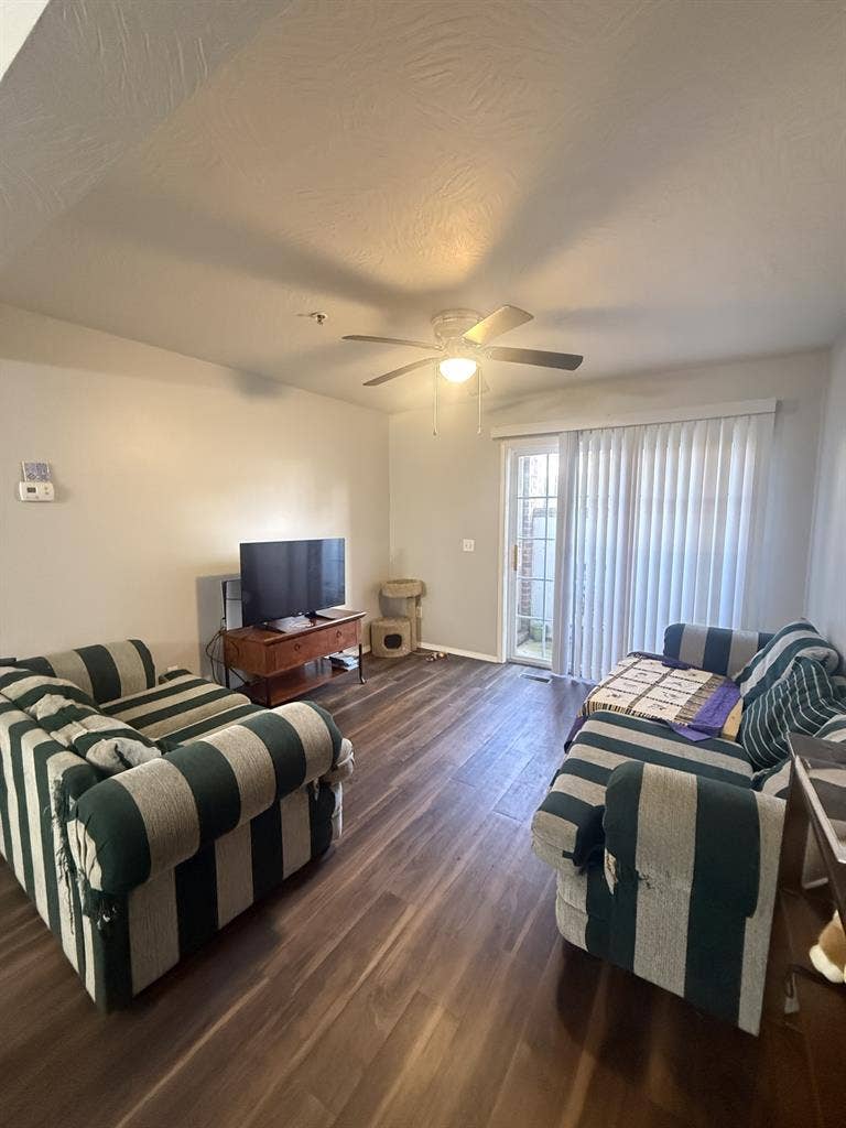 Looking for a roommate