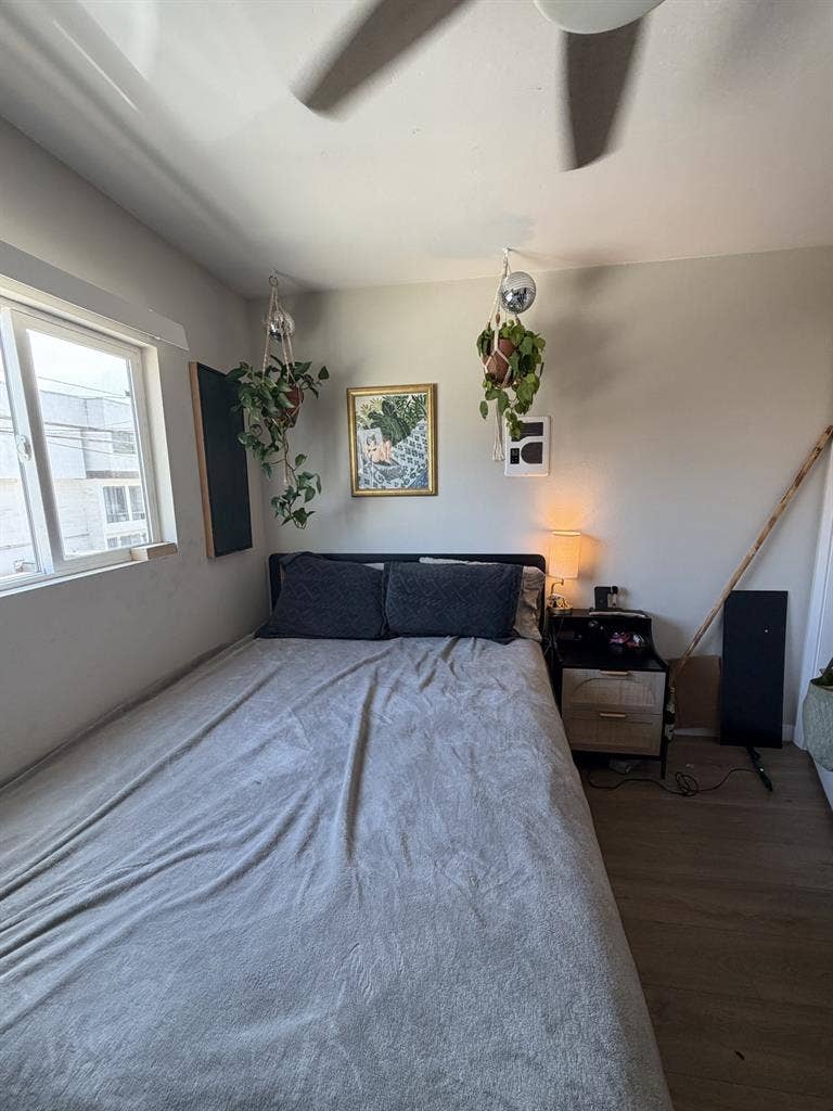 Looking for roommate in east PB