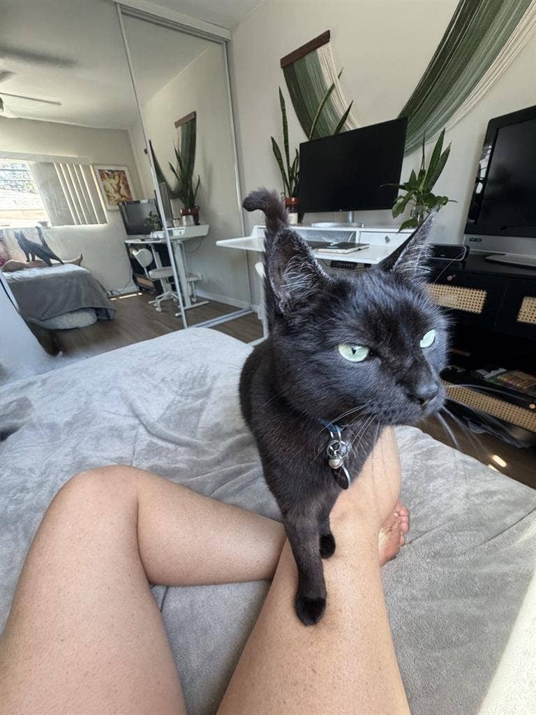 Looking for roommate in east PB