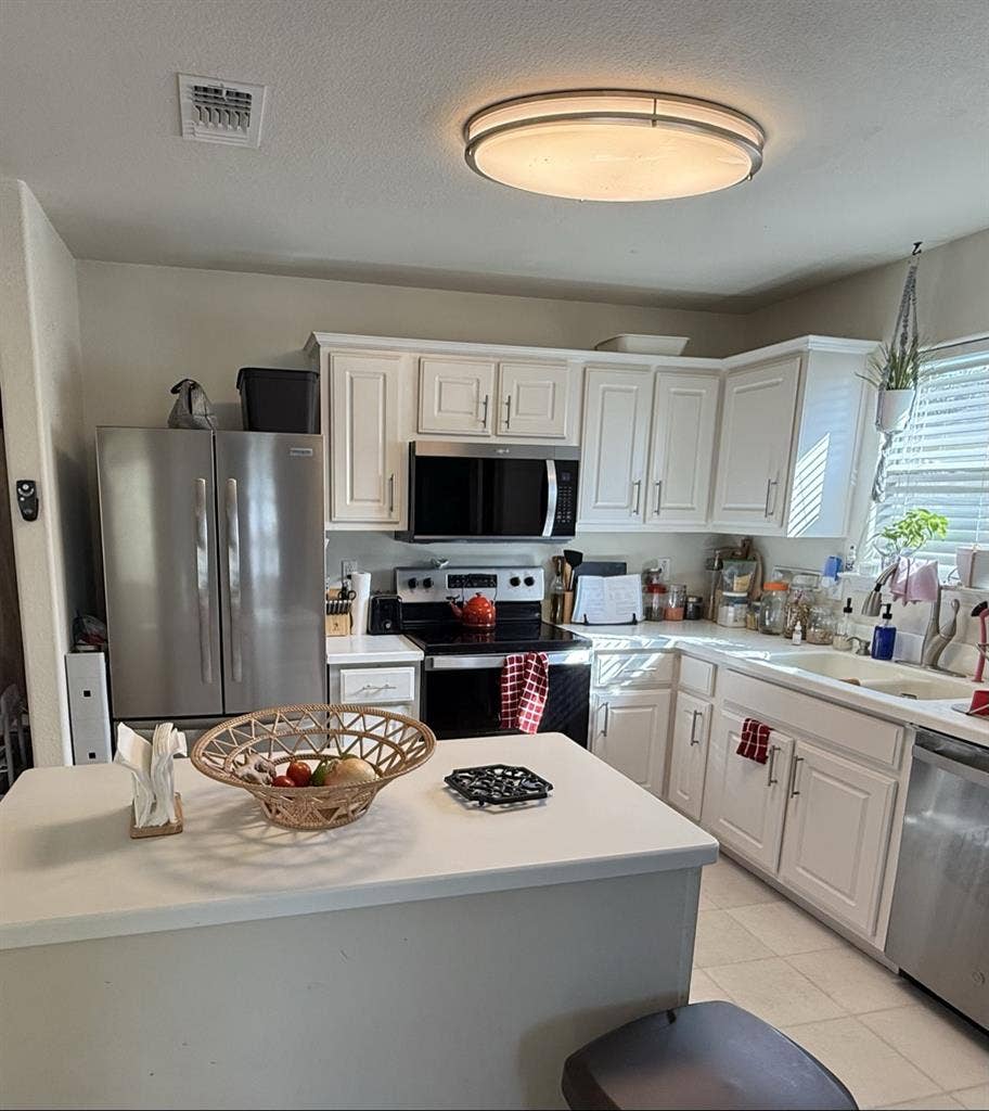 Female Professor seeks roommate