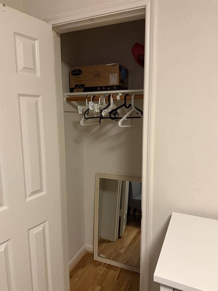 Female Professor seeks roommate