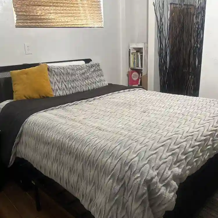 Big basement furnished room