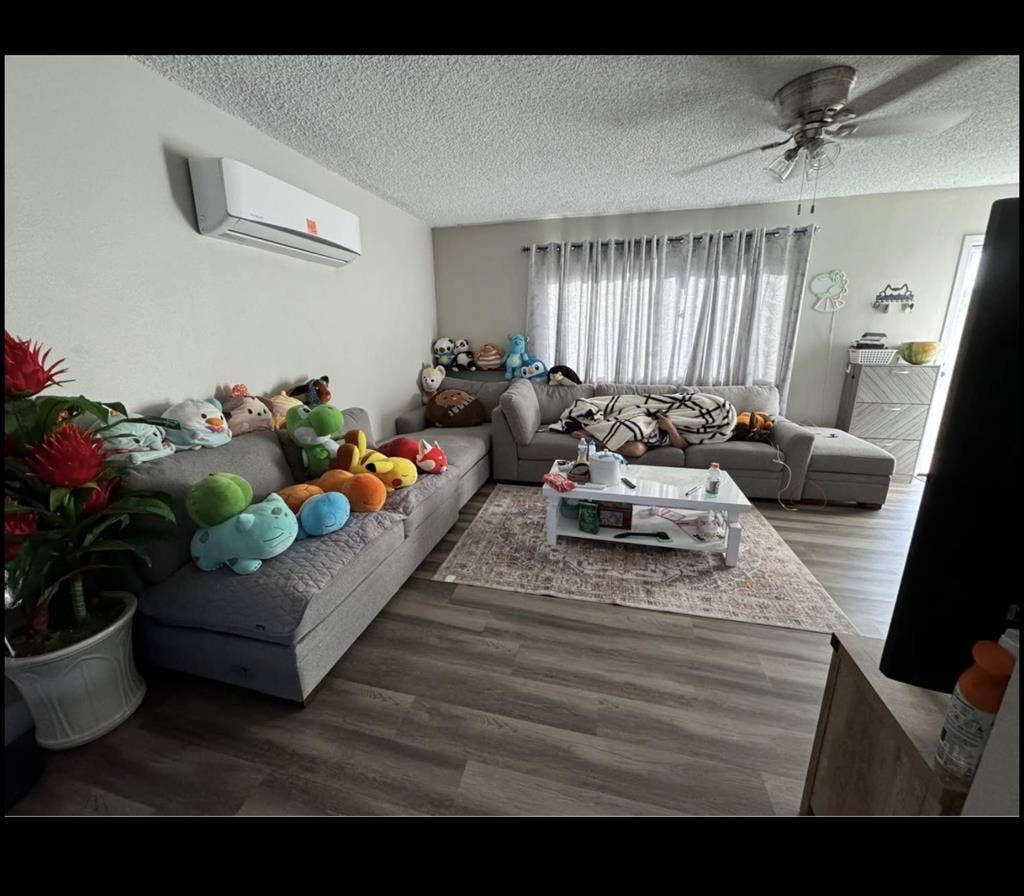 Female Roommate Wanted