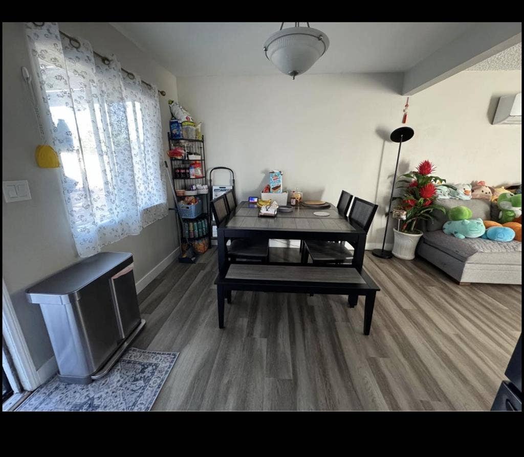 Female Roommate Wanted