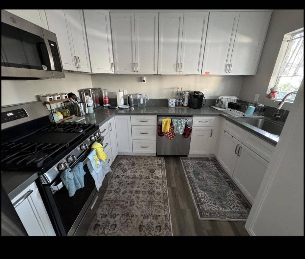 Female Roommate Wanted