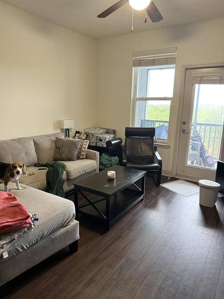 New Listing