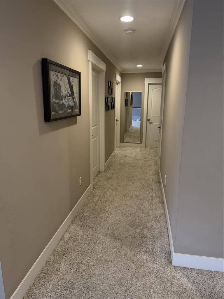 Looking for new Roomate
