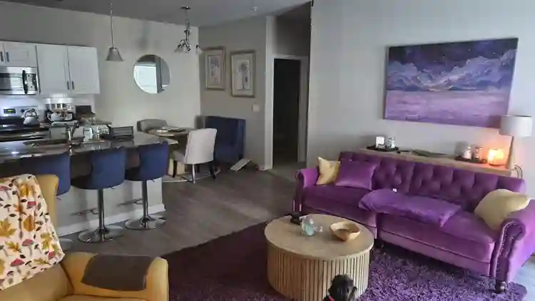Roommate wanted!