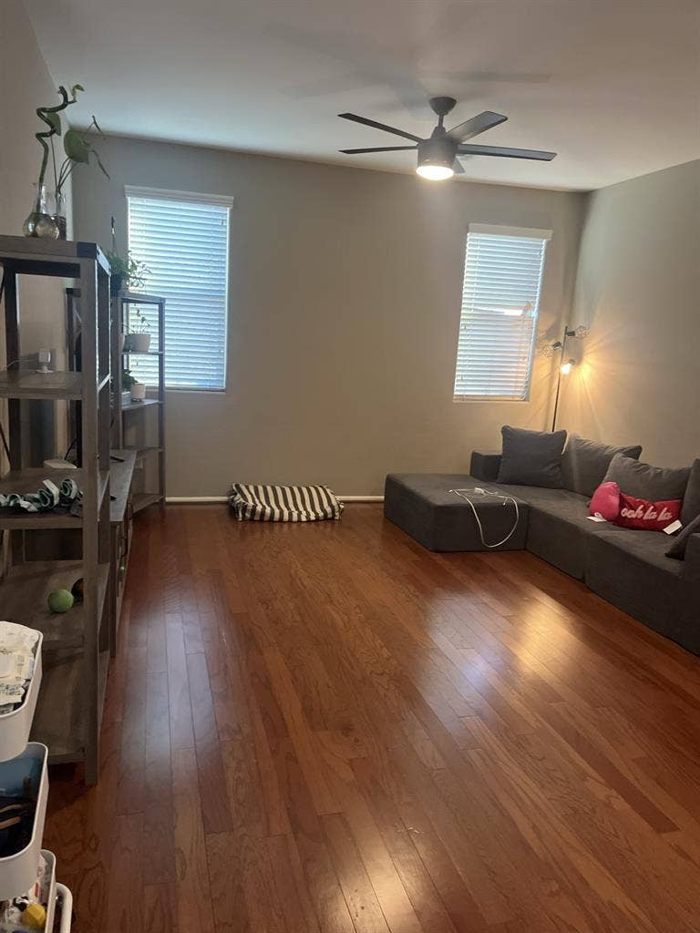 New Listing