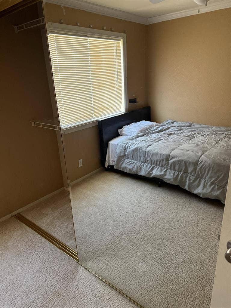 Room available for rent
