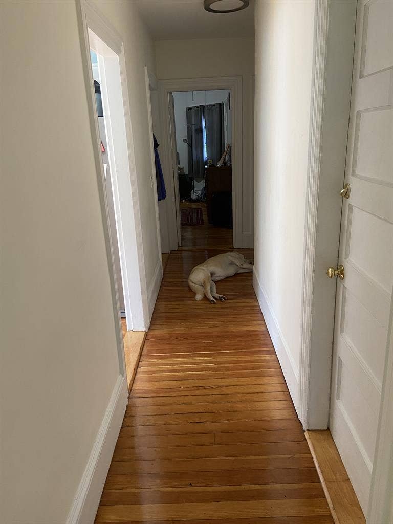 Large Sunlit Bedroom off Hope St