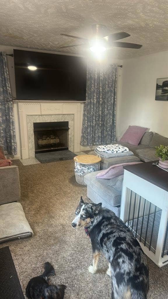 Private Room for rent