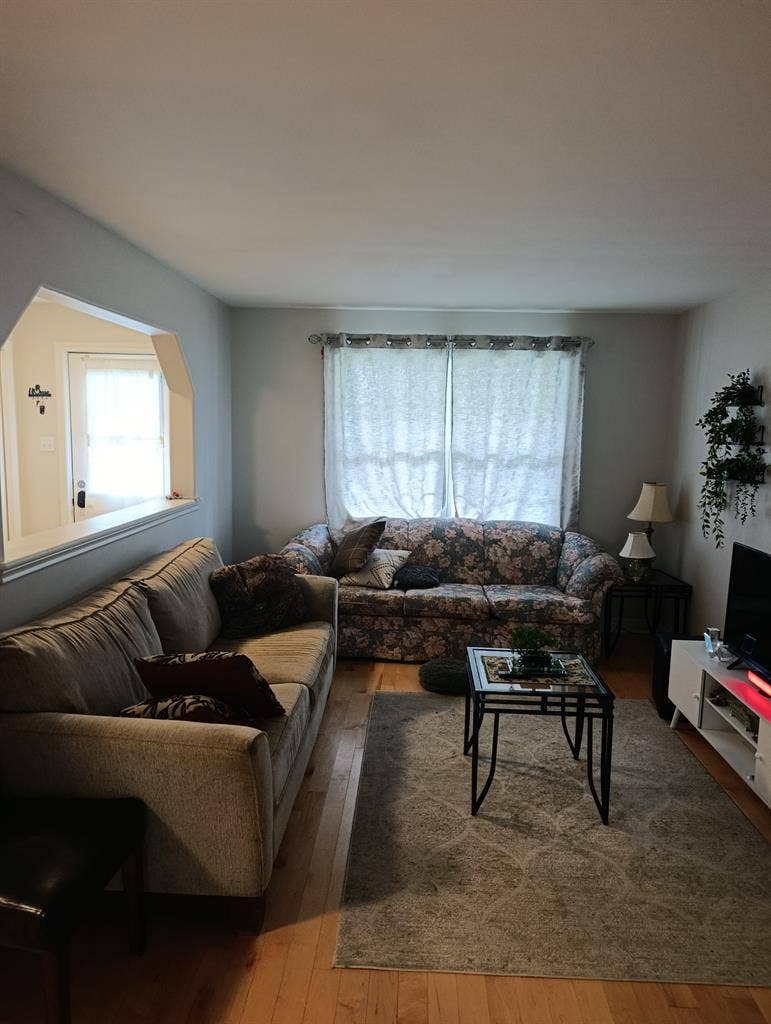 Looking to share one spare room