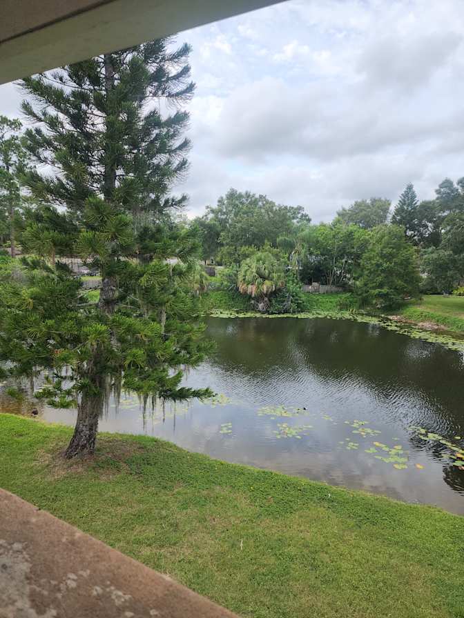 Room for rent in Oldsmar