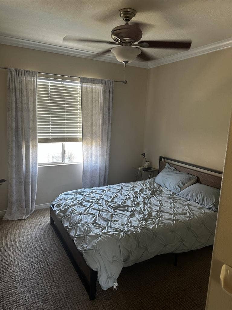 Single bedroom for rent