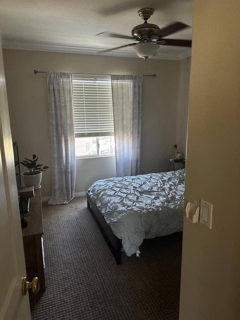 Single bedroom for rent