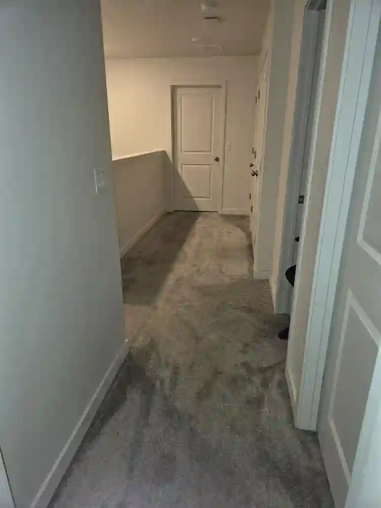 Private Room for rent