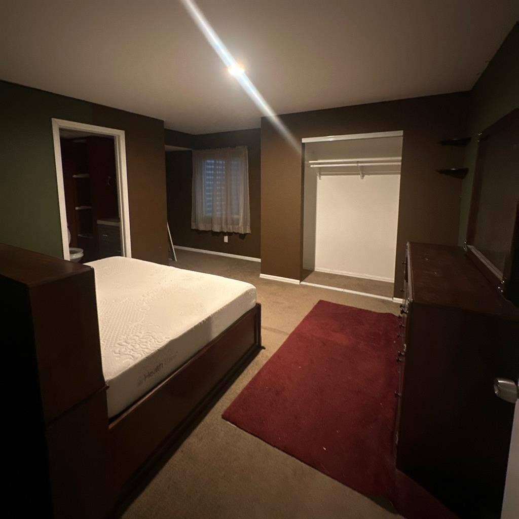 Looking for a roommate!
