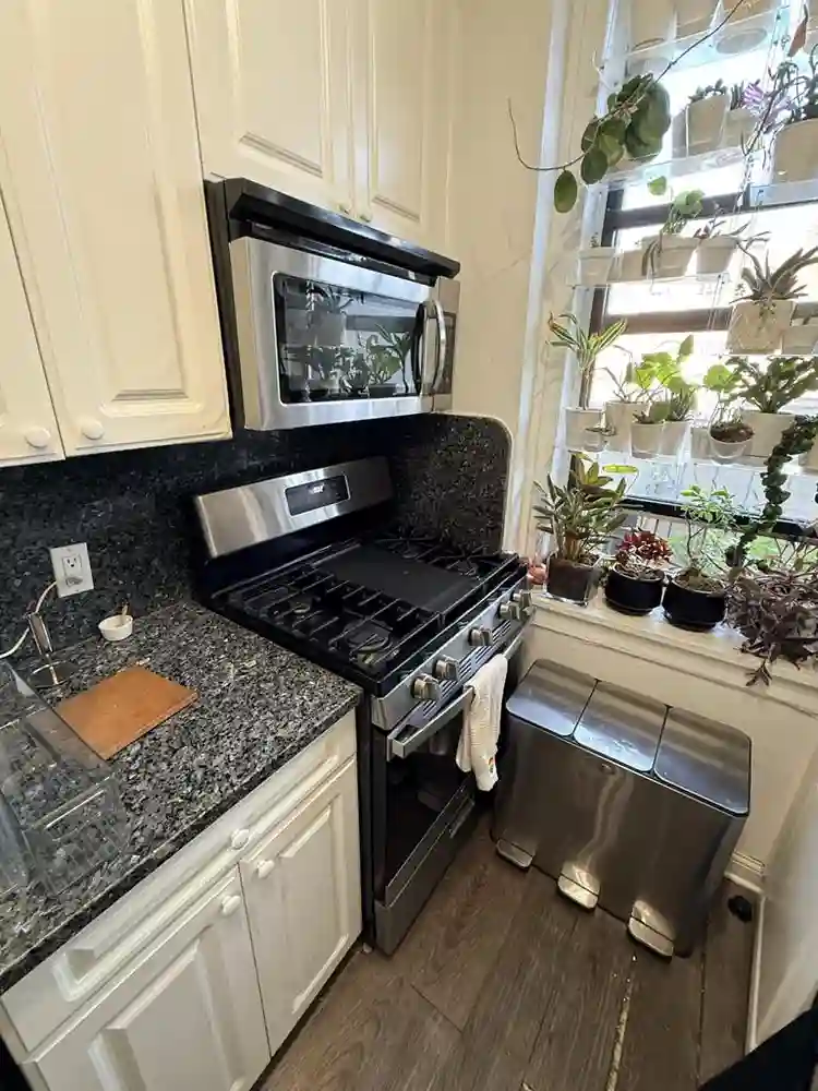 Room for rent!