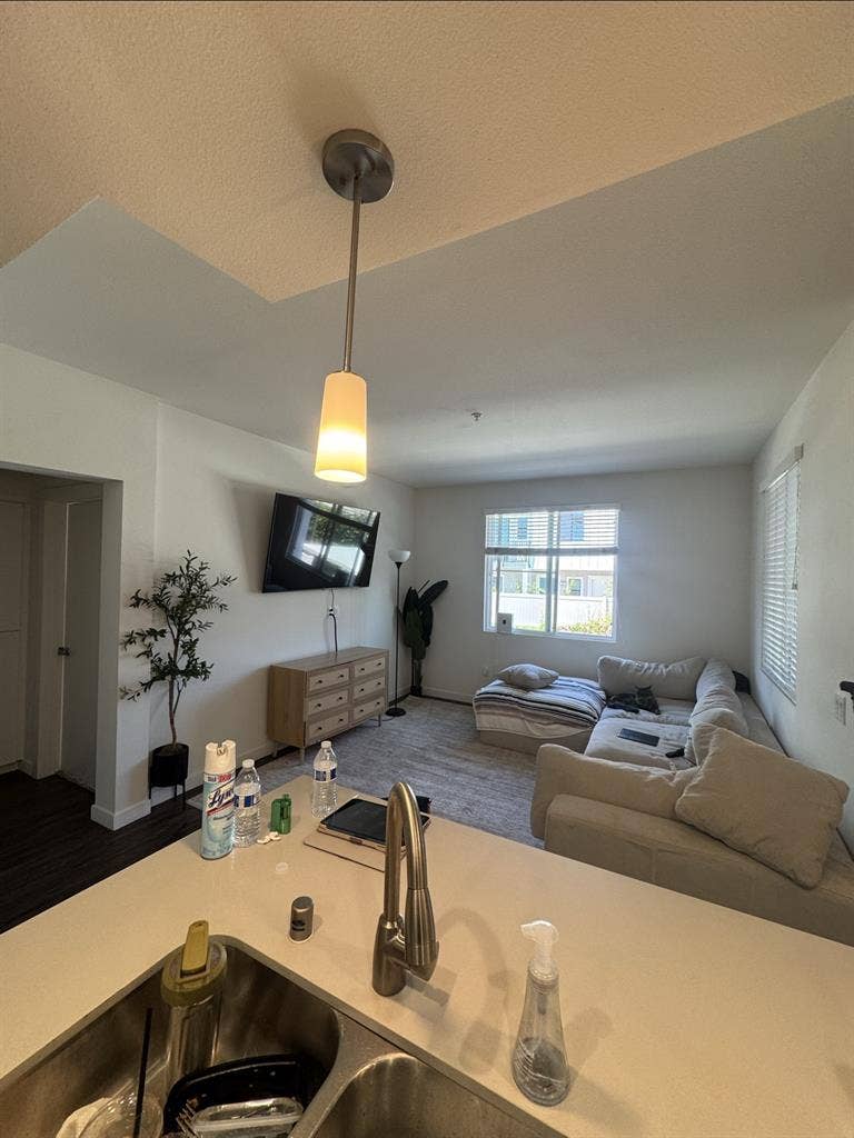 Looking for a female roommate
