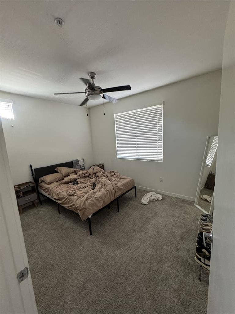 Looking for a female roommate