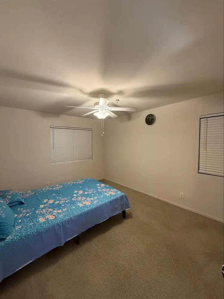 Looking for a roommate
