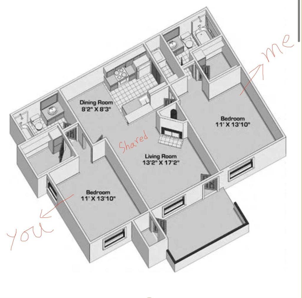 Looking for a roommate