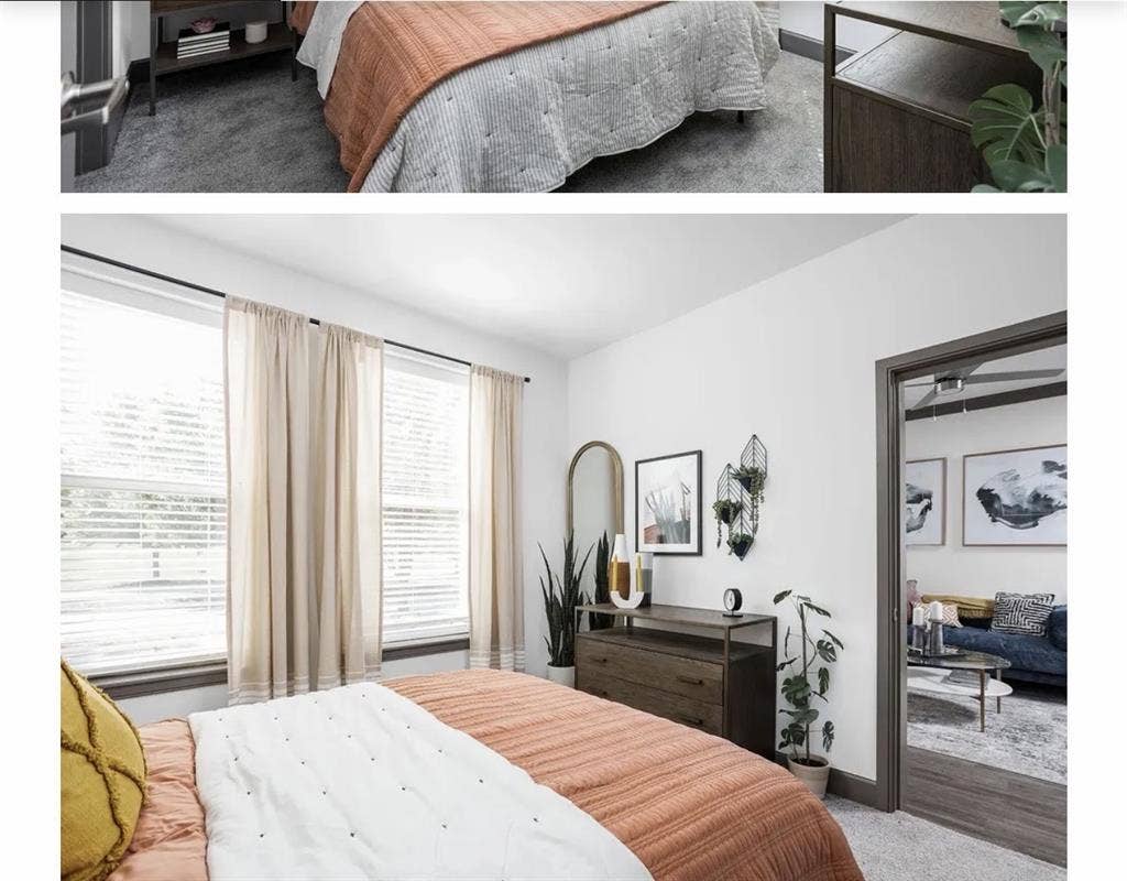 Looking for a Roommate