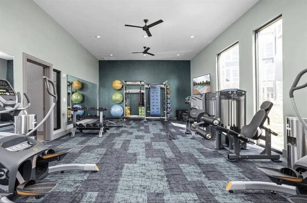 Looking for a Roommate