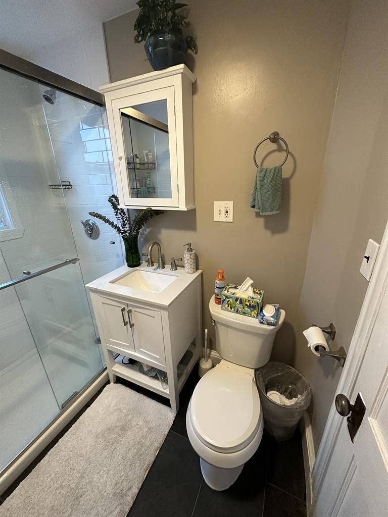 Oak Square needs a roommate