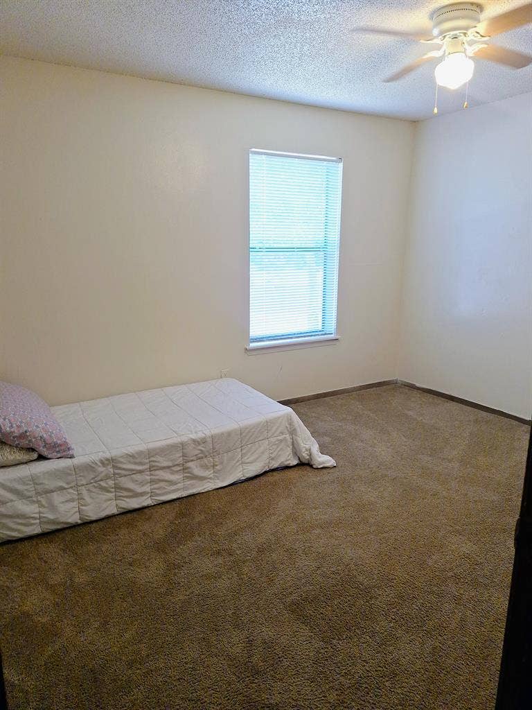 Roommate Wanted