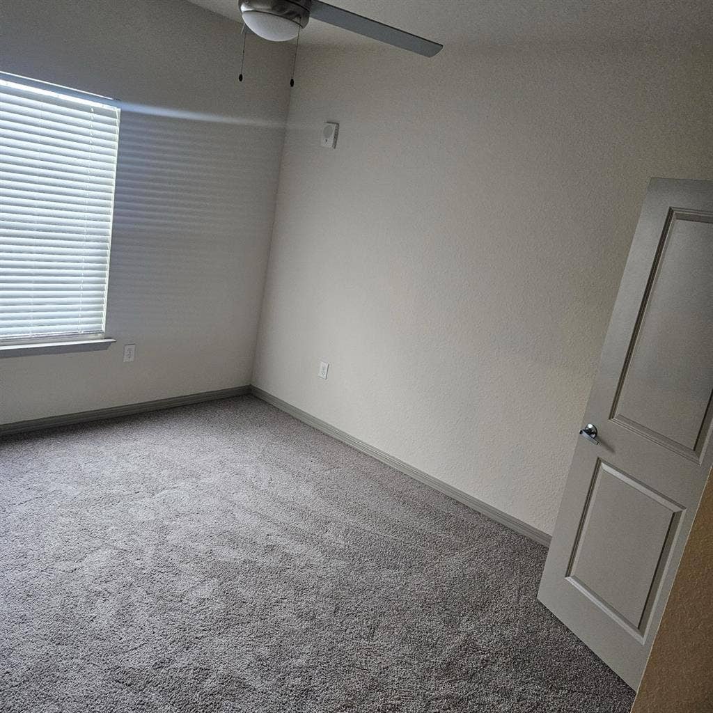 Looking for Roommate