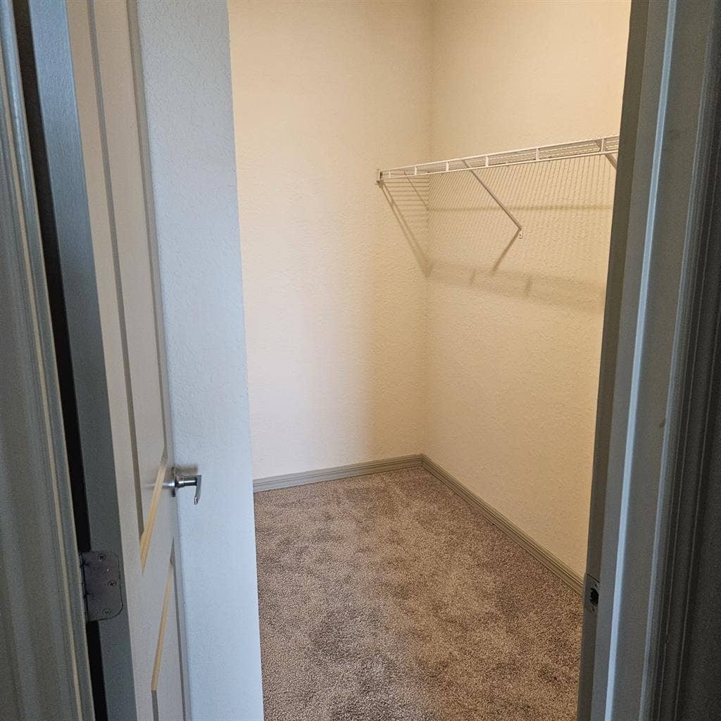 Looking for Roommate