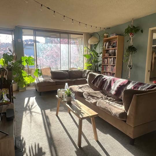 Room and Private Bathroom for rent