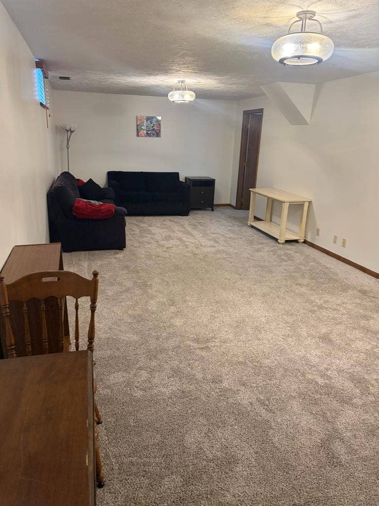 Private basement, bedroom, bathroom